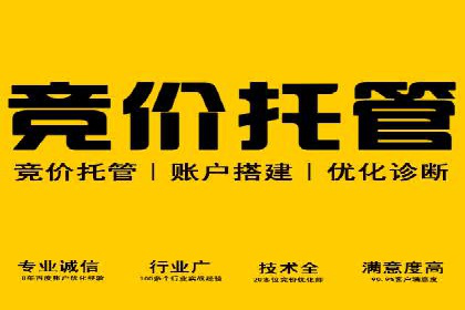 SEM托管服务，成功案例分享转化秘诀